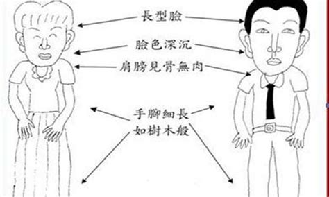 木型人面相|深入总结五形之木形人的相理分析 命运风水面相手相